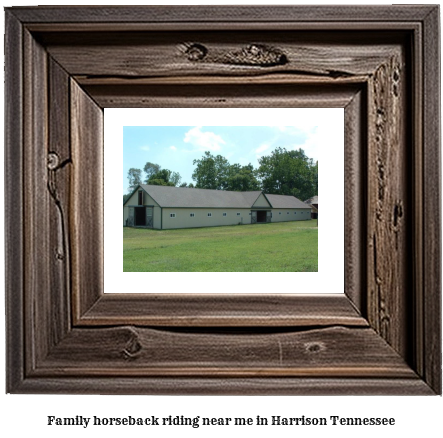 family horseback riding near me in Harrison, Tennessee